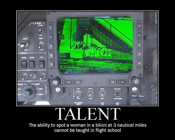 Talented Pilot