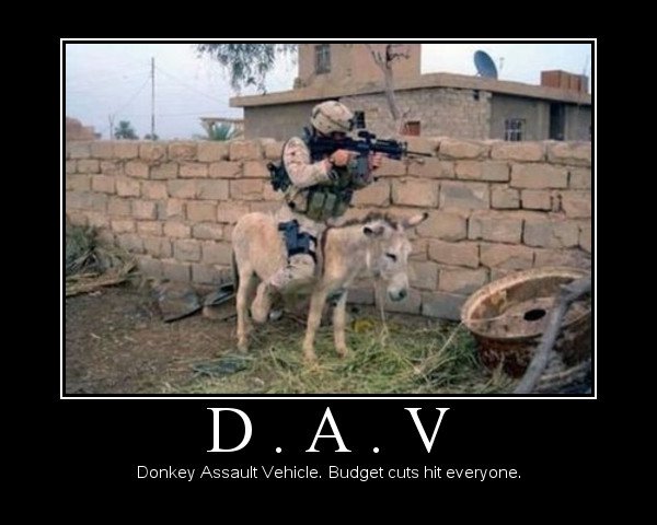 Donkey Assault Vehicle