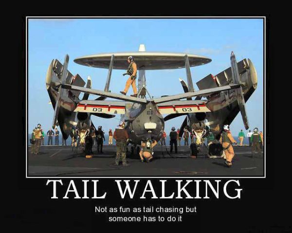 TAIL WALKING