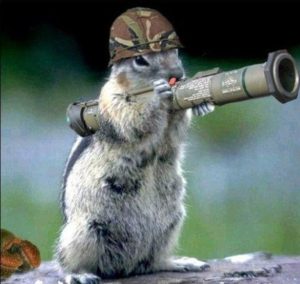 He Stole My Nuts! - Military Humor