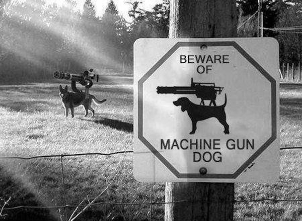 Machine Gun Dog - Military humor