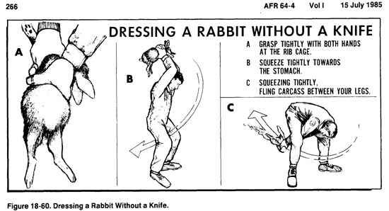 USAF Survival Manual – Dressing a Rabbit Without a Knife