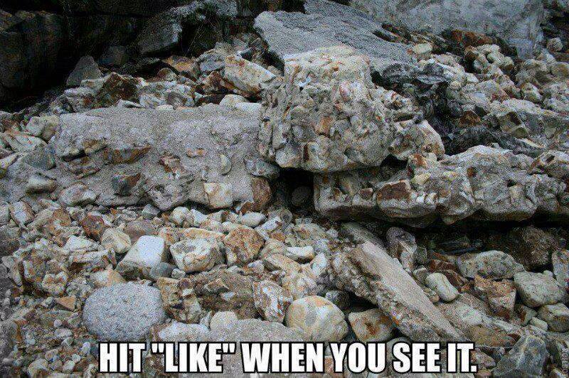 Can You Spot The Sniper?