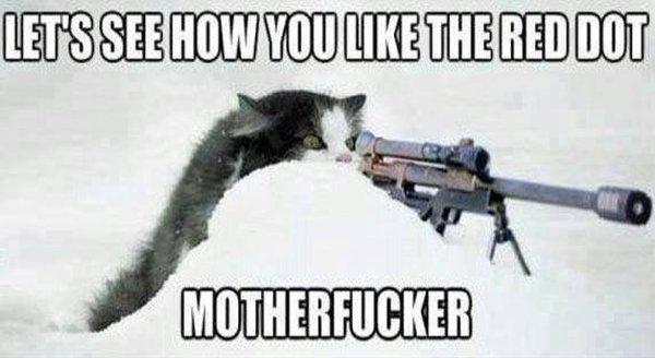 Sniper Cat’s Revenge