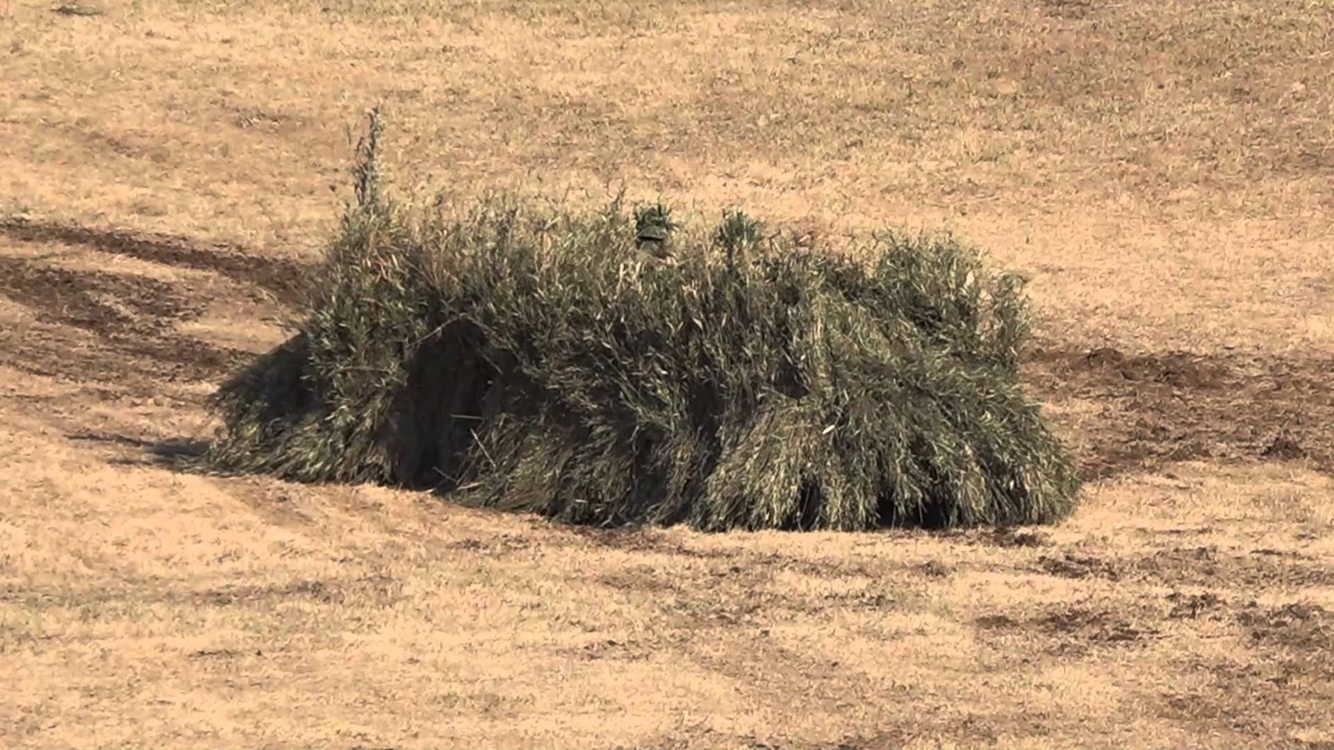 Amazing Camouflage