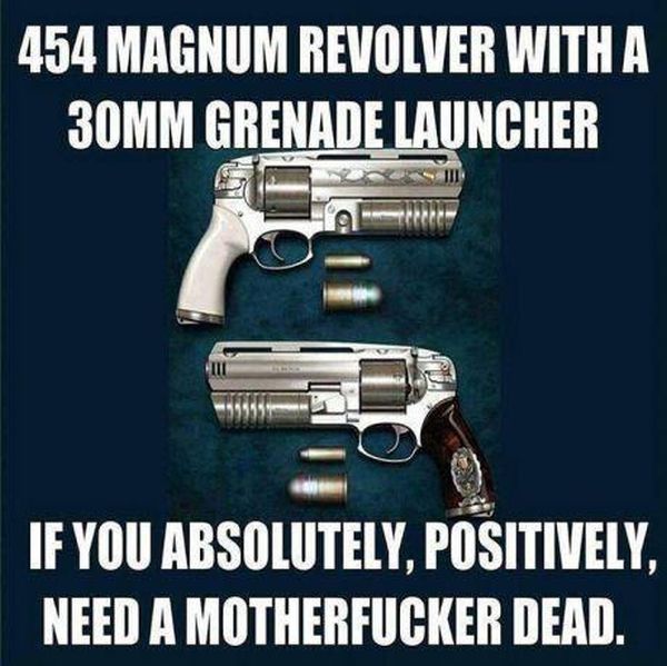454 Magnum With A 30mm Grenade Launcher