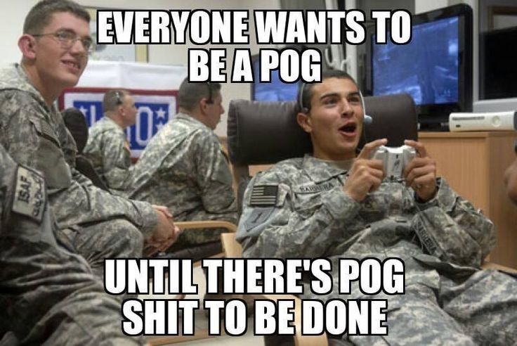 Everyone Wants To Be A Pog