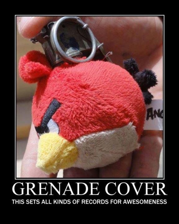 Awesome Hand Grenade Cover