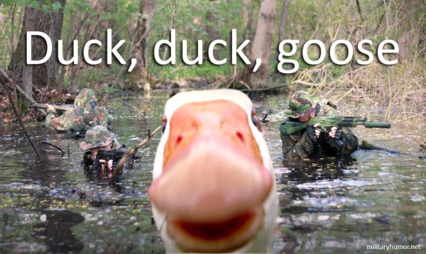 Duck, Duck, Goose