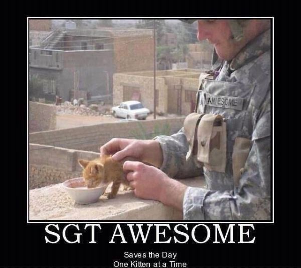 Sgt Awesome
