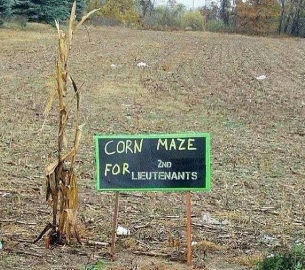 Corn Maze For 2nd Lieutenants