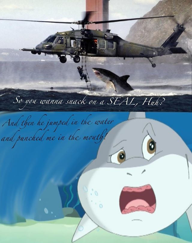 Don’t Mess With Seals