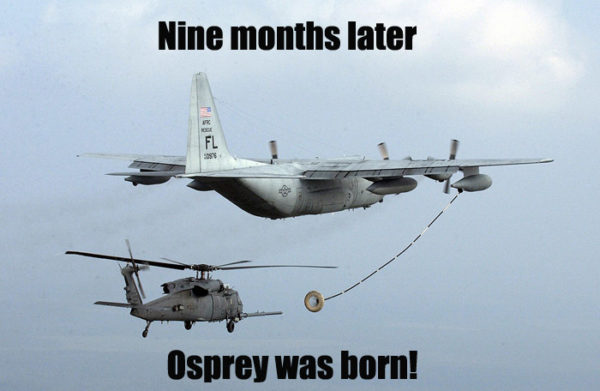15 Random Funny Military Pics Of The Day - Military Humor