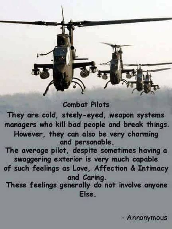 Combat Pilots
