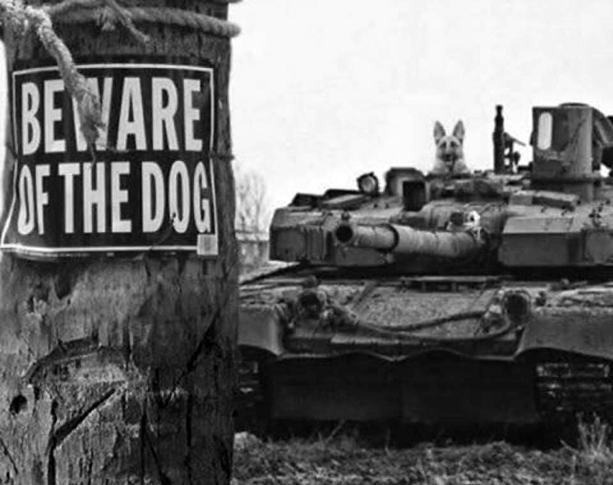 Beware of the dog - Military humor